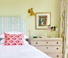 Ikat Cushions